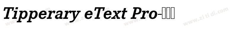 Tipperary eText Pro字体转换
